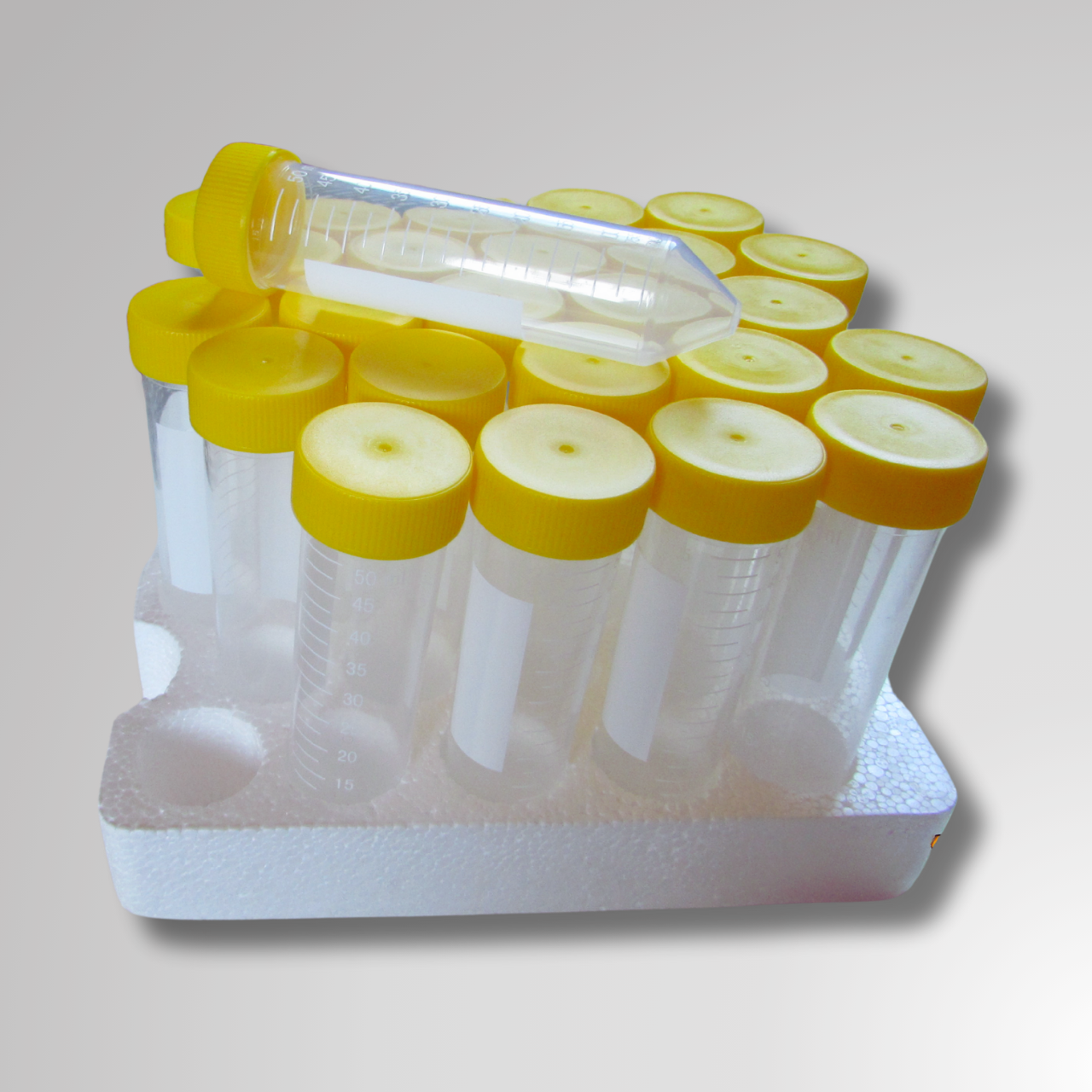 Tubos de Centrífuga Estéril, libre de DNasa y RNasa - 15 mL y 50 mL