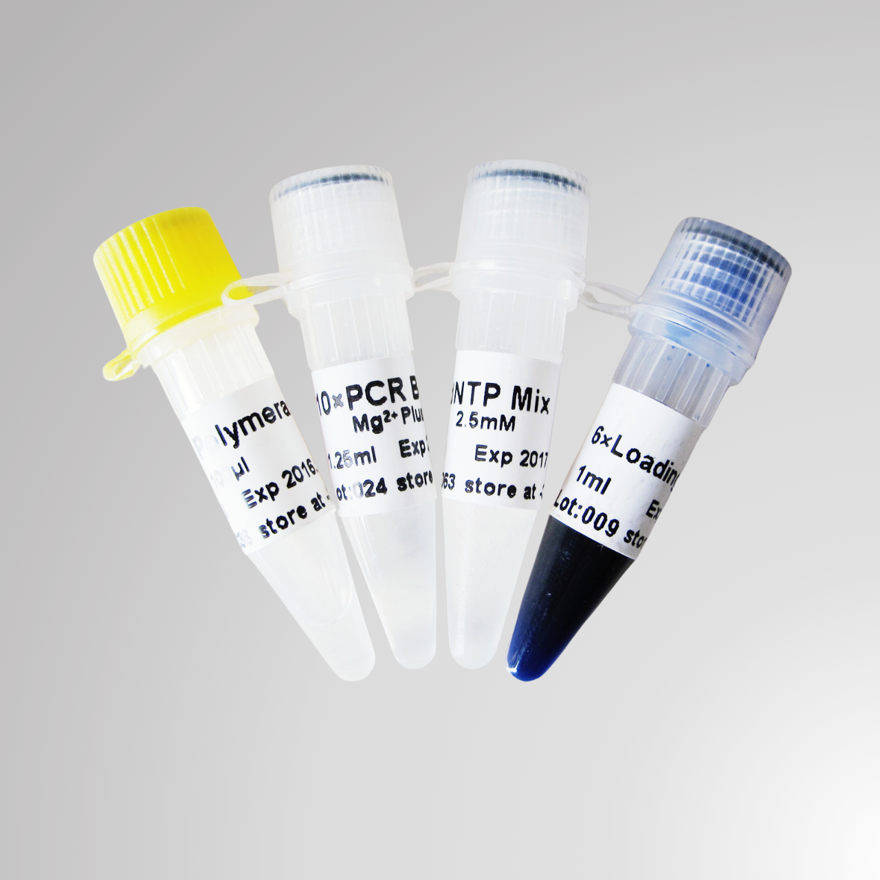 ADN Polimerasa Taq 500U