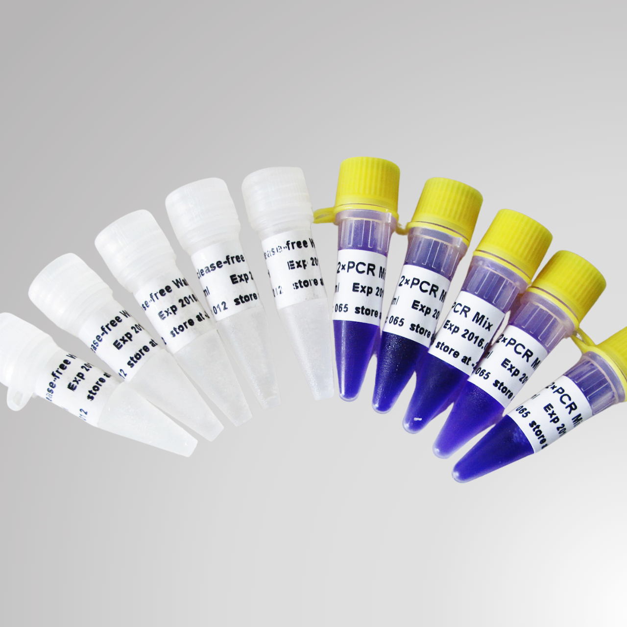 PCR MASTER MIX (2X) 200RXN